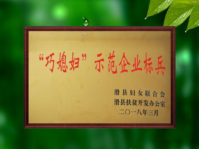 巧媳婦示范企業標兵